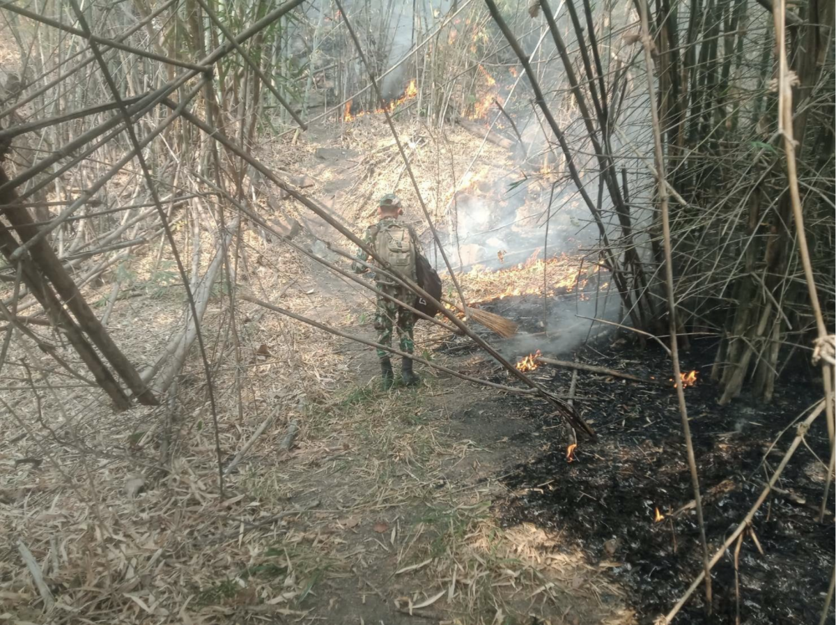 Forest official putting out fire