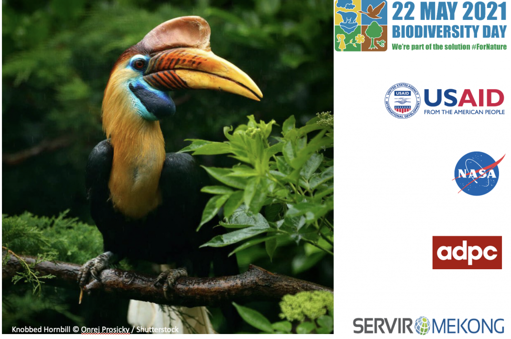 SERVIR-SEA - SERVIR-Mekong Supports Biodiversity Conservation using its  Forest Alert Tool