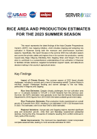 Cover page of Rice Area and Production Estimates for the 2023 Summer Season