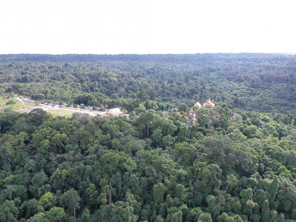Illegal Deforestation Cambodia