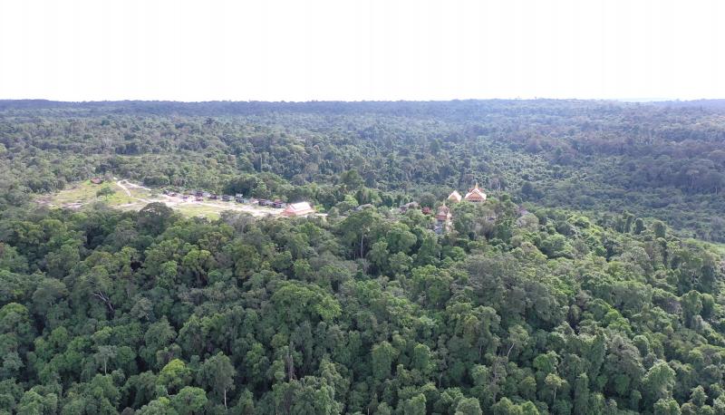 Illegal Deforestation Cambodia