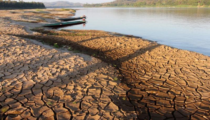 Mekong Drought and Crop Watch